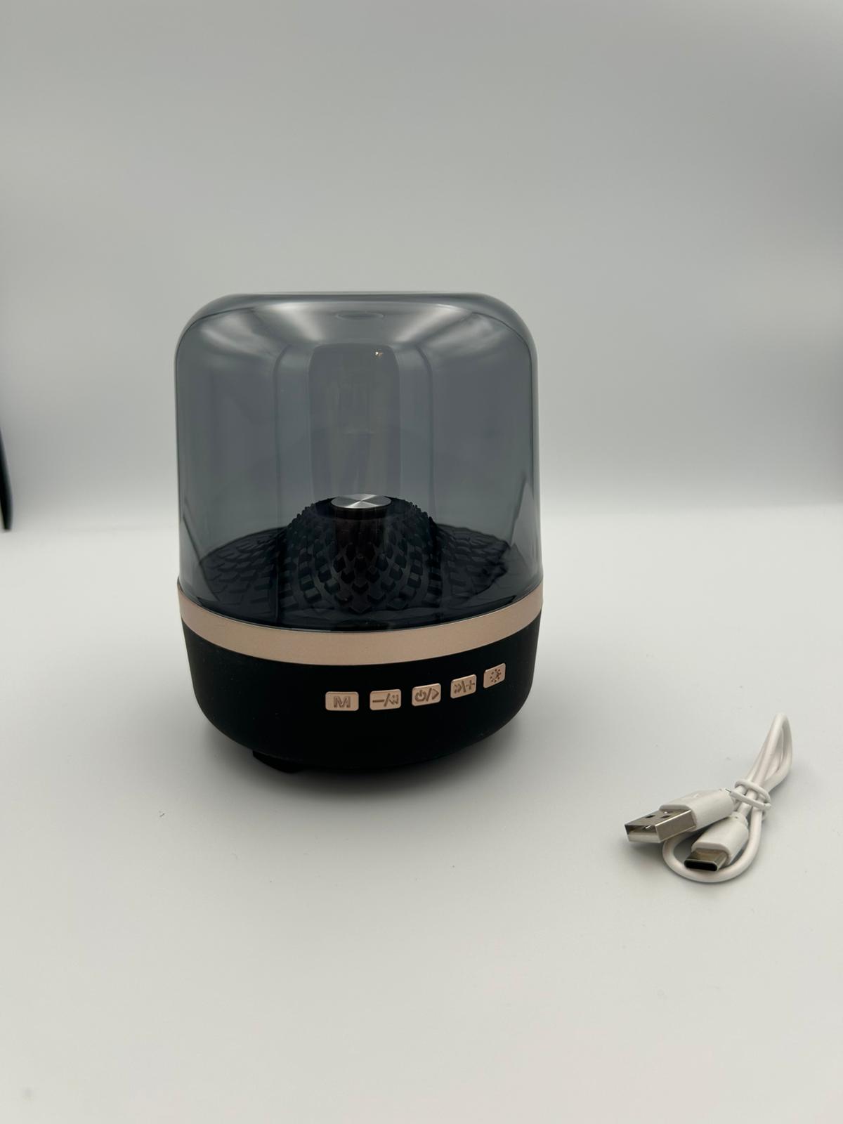 Enceinte Bluetooth sans fil 1